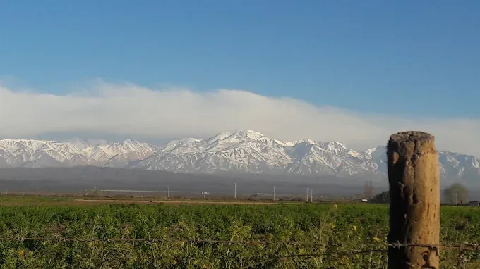 Campo con la cordillera de fondo