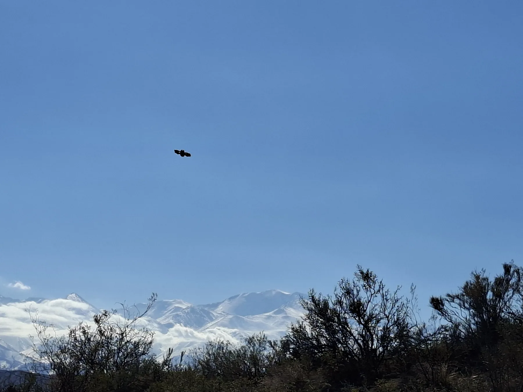 Dron en vuelo sobre el valle